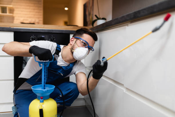 Best Pest Prevention Services  in Carbondale, CO
