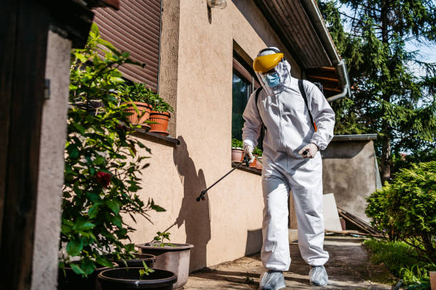 Best Affordable Pest Control Services  in Carbondale, CO