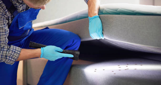  Carbondale, CO Pest Control Pros