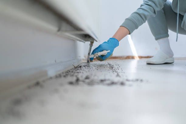 Best Commercial Pest Control Services  in Carbondale, CO